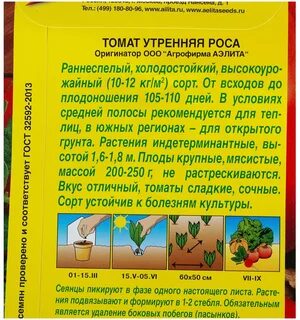 Помидоры утренняя роса
