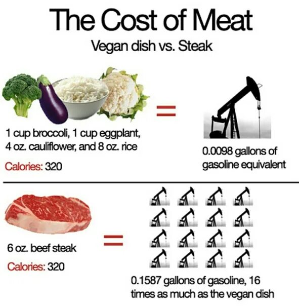 Веган. Vegan meat. Vegetarian vs Vegan.