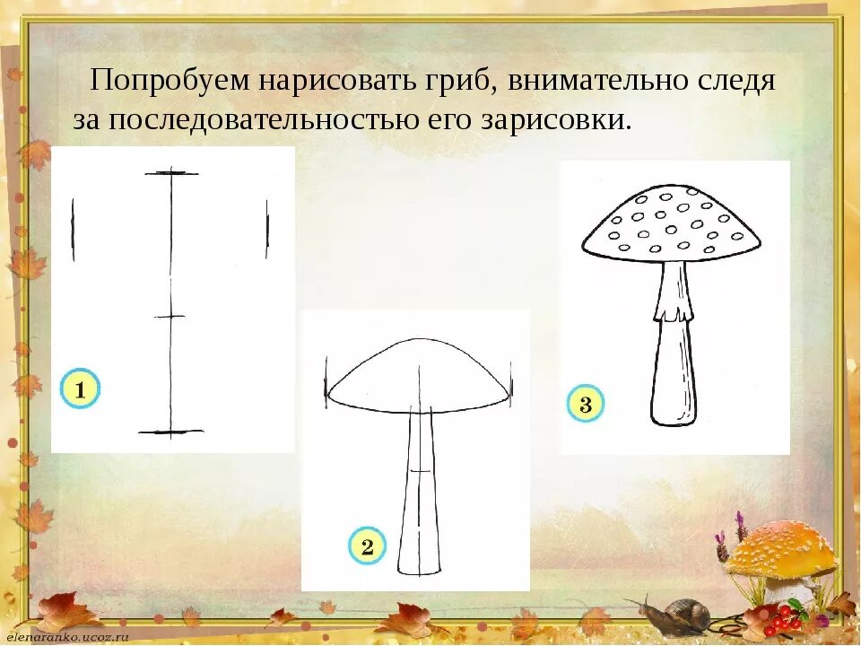 Грибы поэтапно. Уроки рисования грибы. Поэтапное рисование грибов. Рисование гриба поэтапно. Рисование гриб для детей дошкольников.