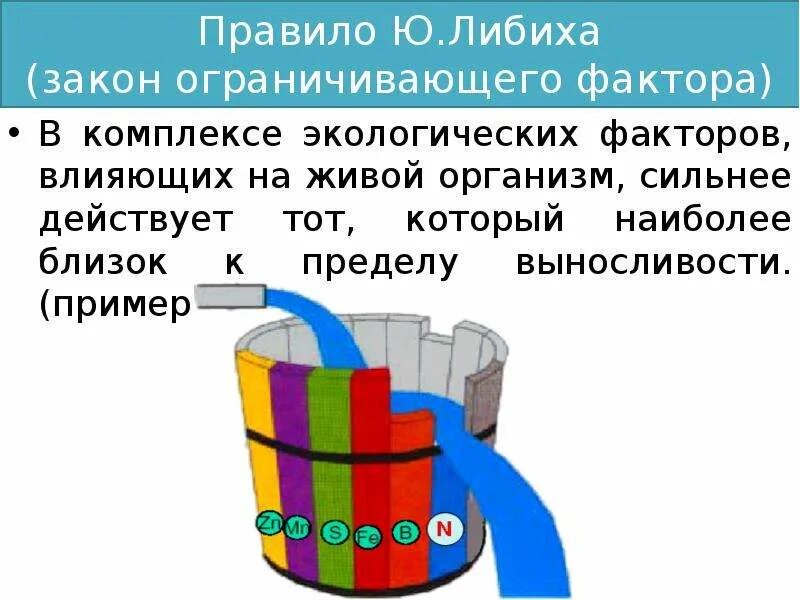 Минимума либиха. Бочка либиха и лимитирующие факторы. бочка либиха закон. бочка либиха закон экологии. закон ограничивающего фактора.