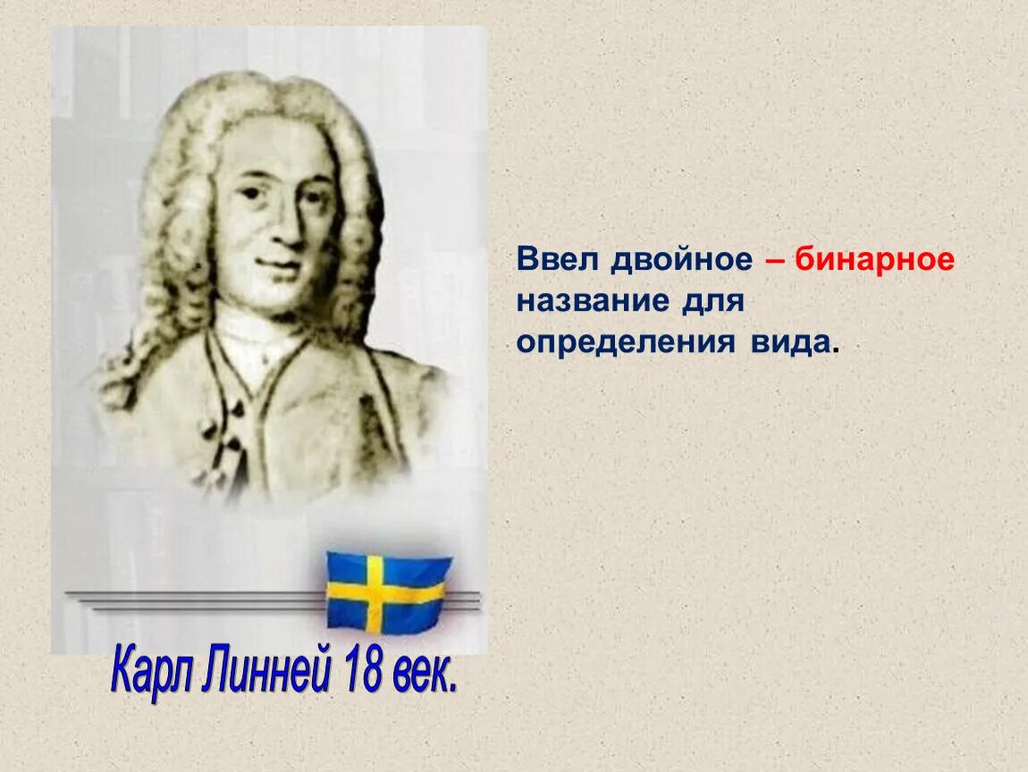 Ввёл принцип двойного названия видов. Двойное название для обозначения видов