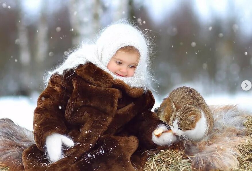 Намного теплее. Климат тайги летом. Осенний фонарик. Девушка в снегу. Девочка зимой.