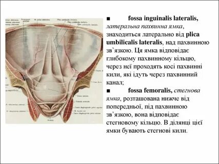 Fossa ischiorectalis