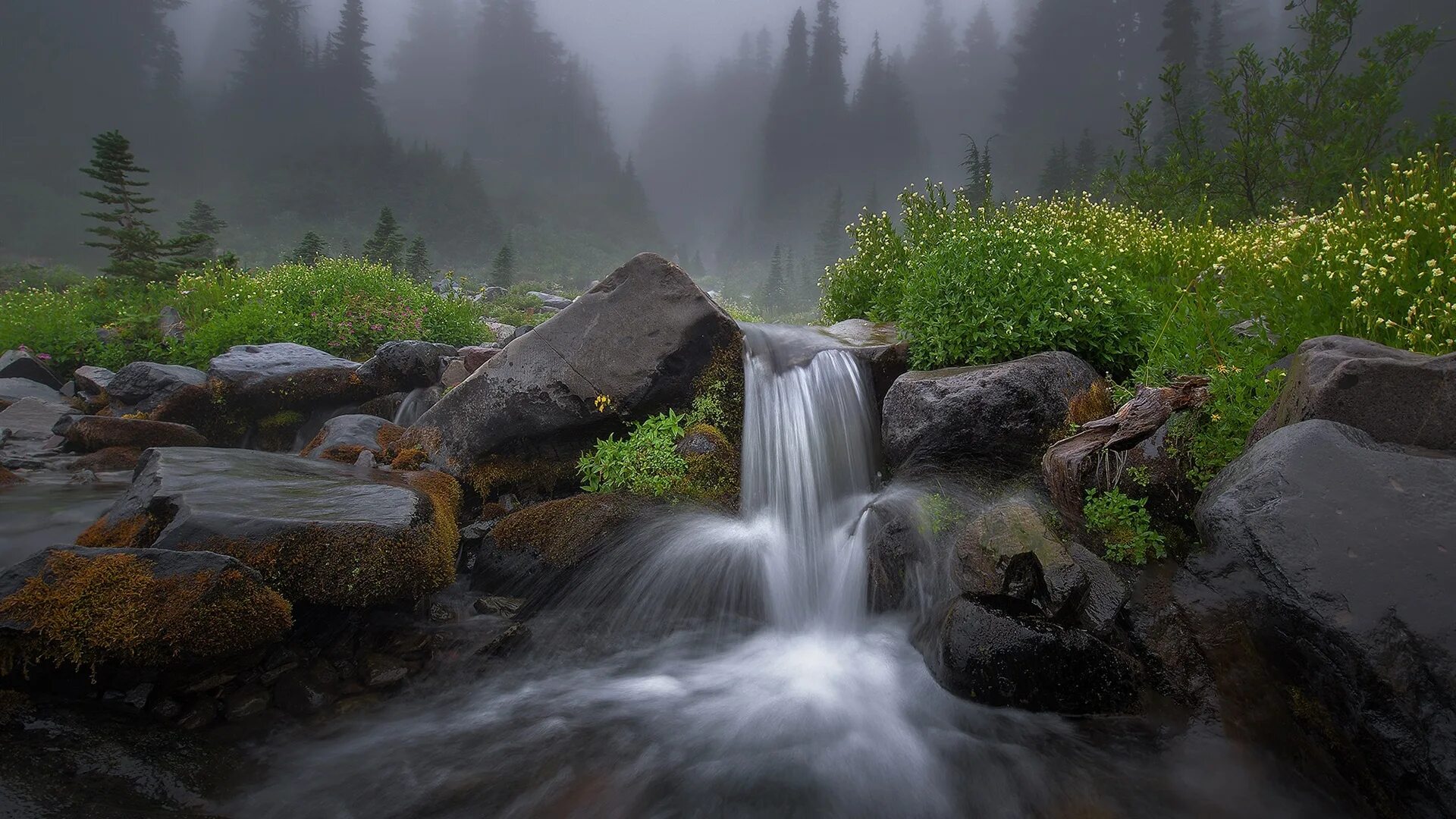 Природа лес река горы водопад. Водопад оселкового ручья. Ручей в лесу. Пейзаж водопад.