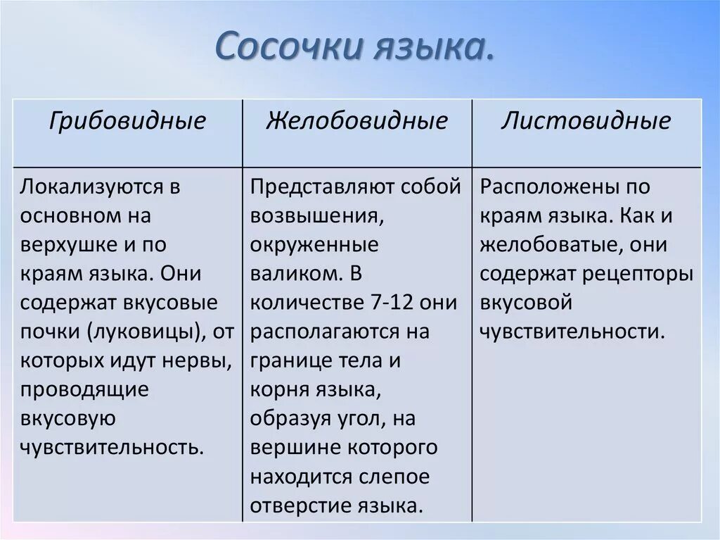 Полость рта - презентация онлайн