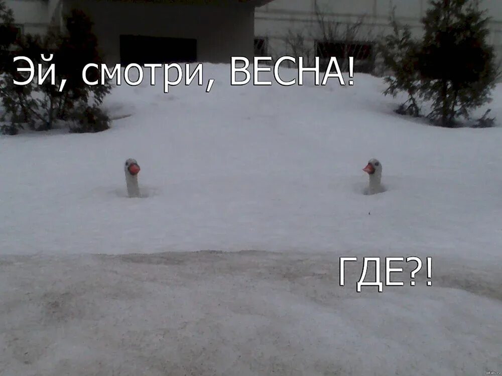 Статусы про зиму весной. Стихи про снег для детей. Внутри меня непобедимое лето альбер камю. Демотиваторы про зиму смешные. Зима надпись на снегу.