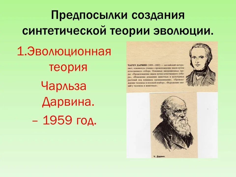 Основоположники синтетической теории эволюции. Синтетическая эволюционная теория. Предпосылки создания синтетической теории эволюции. Синтетическая теория эволюции Дарвина.