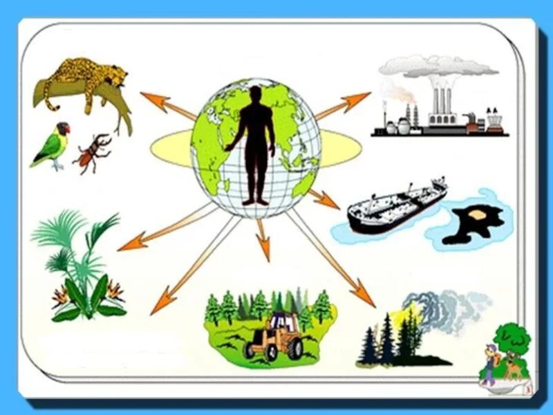 Лексика окружающая среда. Влияние человека на природу. Влияние человекатна прирду. Влияние человека на пои роду. Человек влияет на природу.