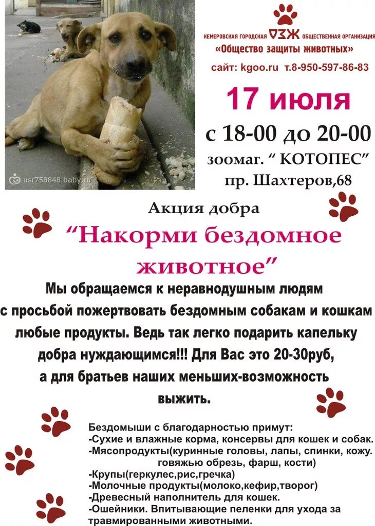 Акция покорми животных. Акция помощь животным. объявление помощь животным. акция помощь бездомным животным. акция для бездомных животных.
