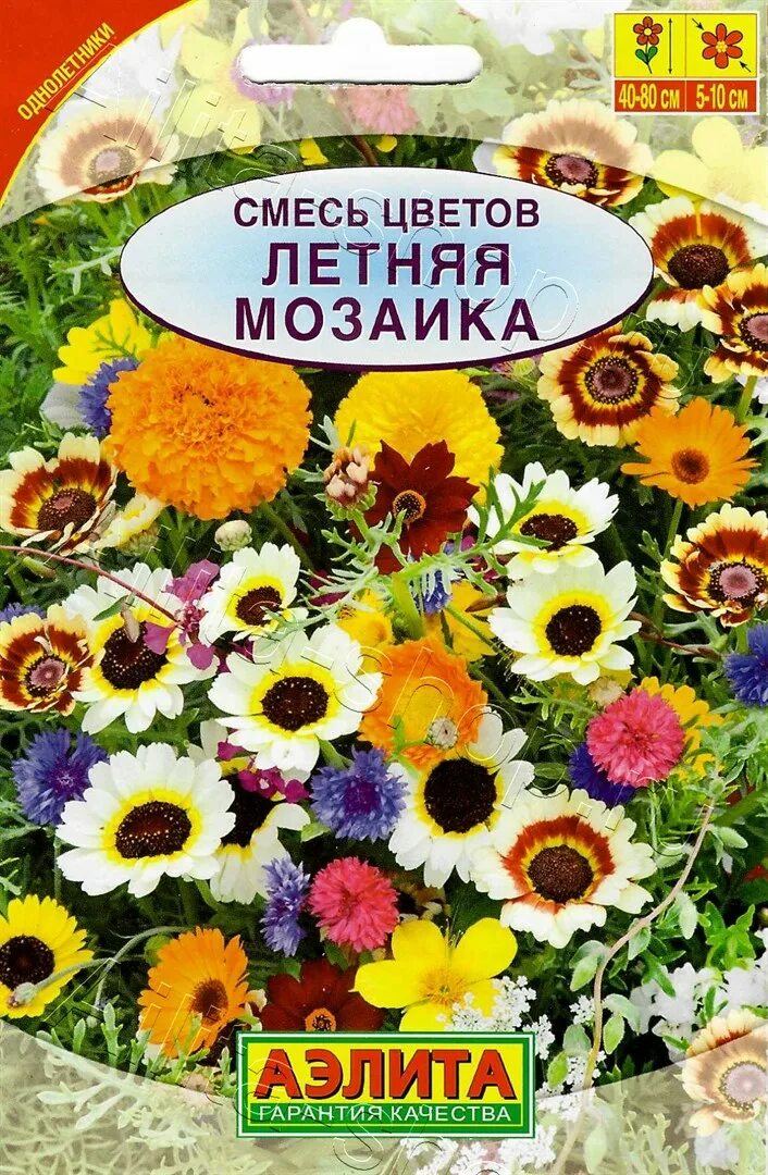 Смесь цветов семена. Смесь цветов. смесь семян. смесь семян цветов. летняя смесь.