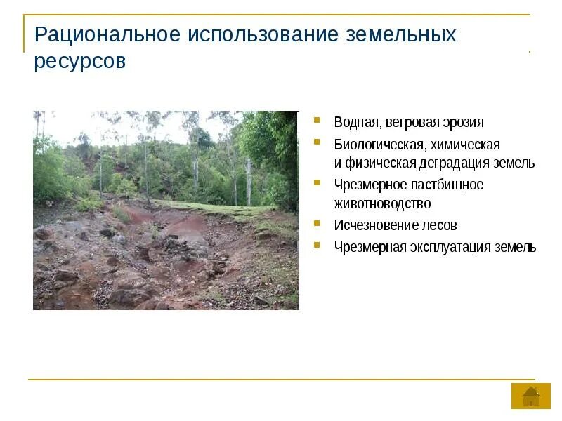 Глобальные проблемы социальной экологии XXI века в иллюстрациях
