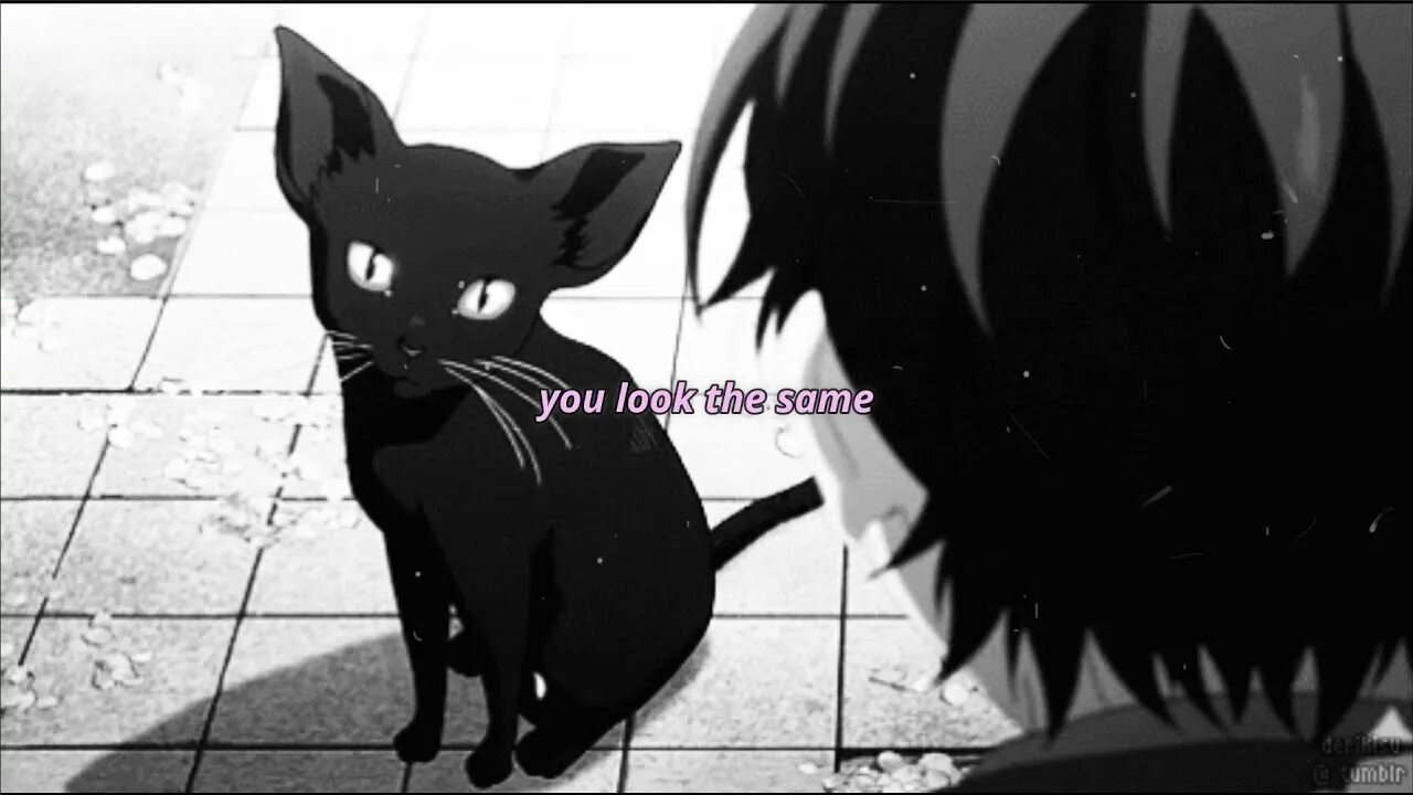 Sad cat animation