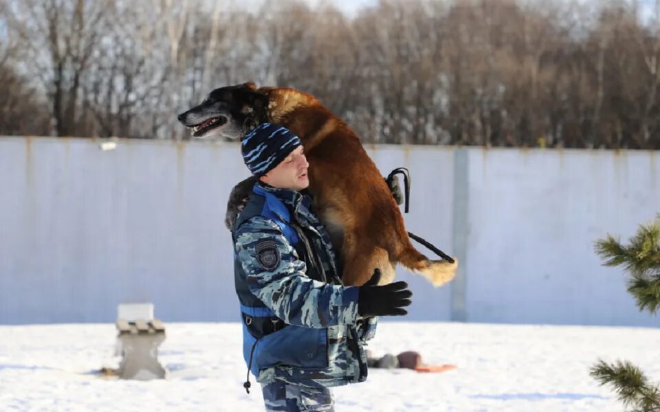 Кинолог. Кинолог рязань. Кинолог в рязани колледж. Проект российских студенческое общежитие. Кинолог рязань колледж.