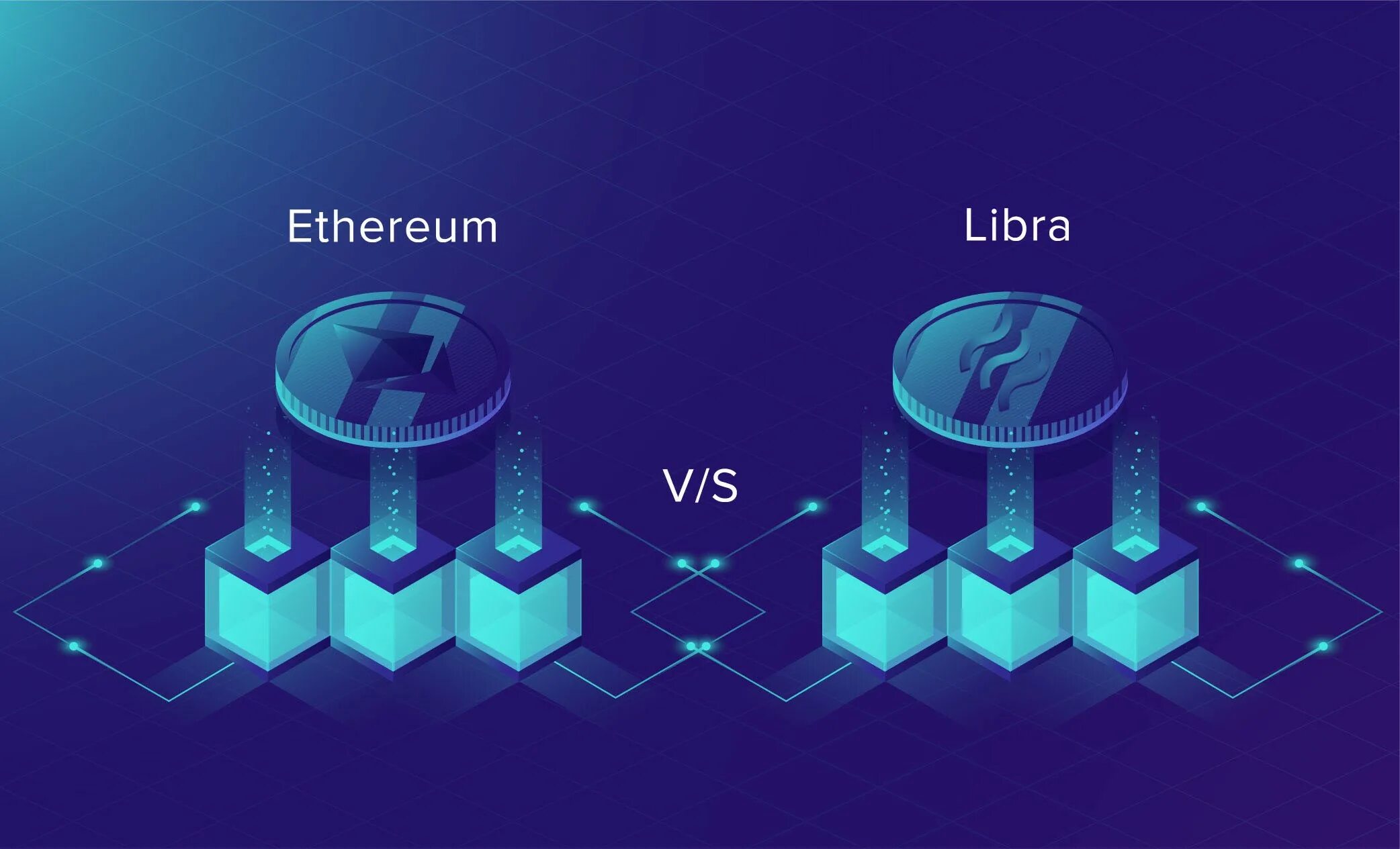 Network крипта