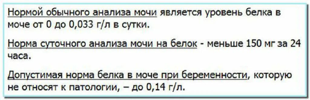 Норма белка в моче 3 триместр. Суточный белок в моче при беременности норма. Суточный белок норма при беременности. Белок в моче при беременности 0,150. Суточный белок у беременных норма.