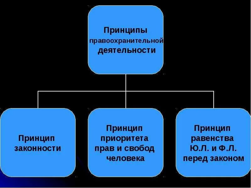 Управление безопасностью правоохранительных. Принципы деятельности правоохранительных органов. Принципы правоохранительной деятельности схема. Принципы управления в правоохранительных органах. Принципами деятельности правоохранительных органов являются.