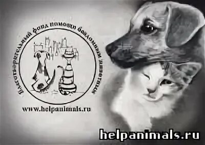Фонд защиты бездомных животных