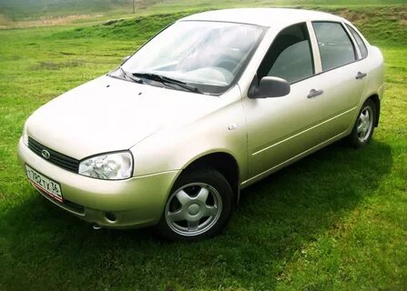502 дыня