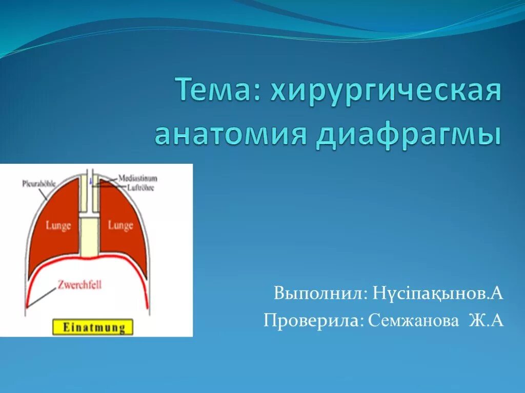 Выполняет функцию диафрагмы. Хирургическая анатомия диафрагмы. Хирургическая анатомия пищеводного отверстия диафрагмы. Купол диафрагмы анатомия. Диафрагма топографическая анатомия.