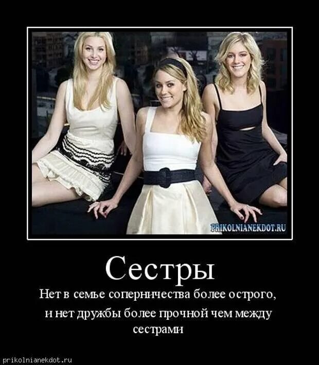 Сестра смешные цитаты. Смешные цитаты про сестру. Смешные цитаты про сестру. Анекдоты про брата и сестру смешные. Смешные афоризмы братья.