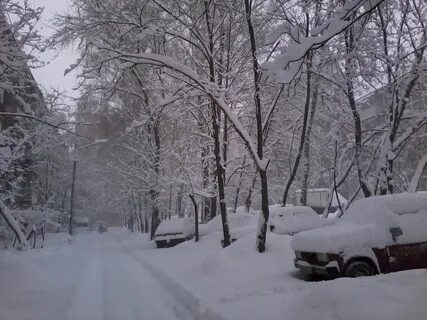 Погода в егорьевске осадки