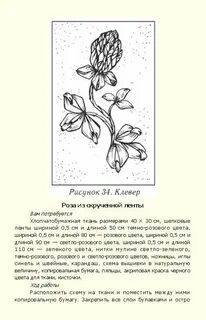 Ширина цветок