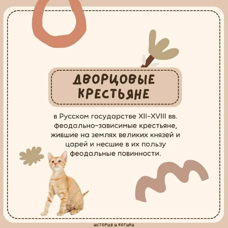 история котиков егэ. котик и время.