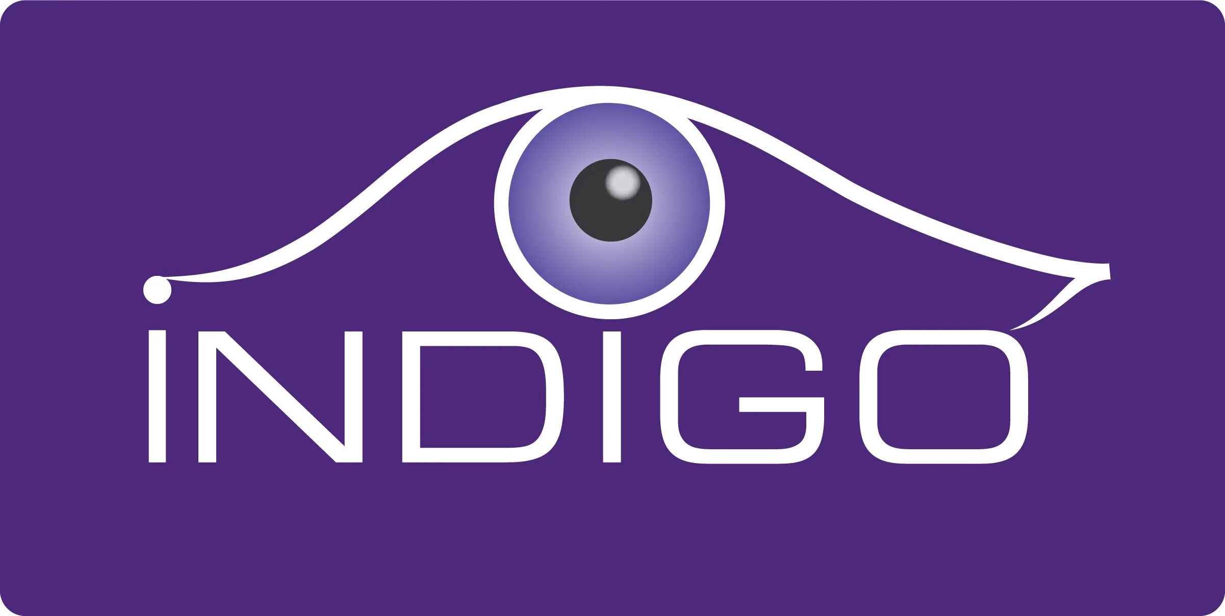 Coral professional логотип. Индиго работа. Индиго компания. Стилизованная листовки. Индиго надпись.