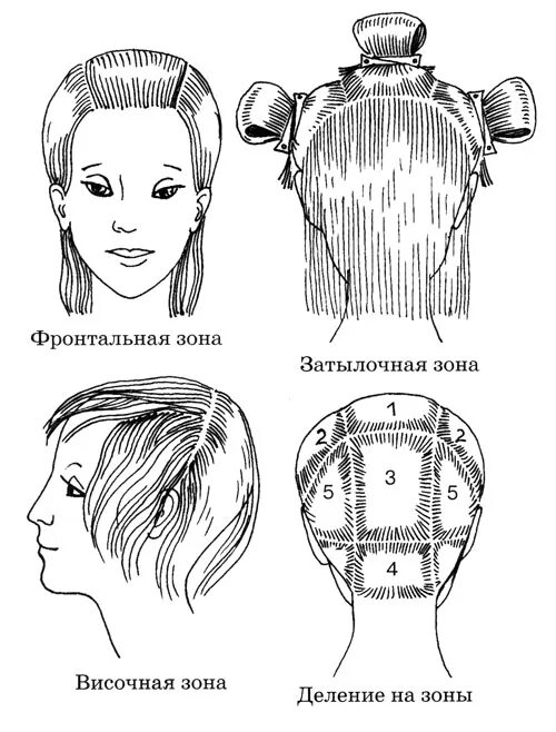 Зона затылка. Каскад схема стрижки теменной зоны. Мелирование волос схема деление головы на зоны. Деление волос на зоны и проборы при стрижке. Стрижка Каскад деление на зоны.