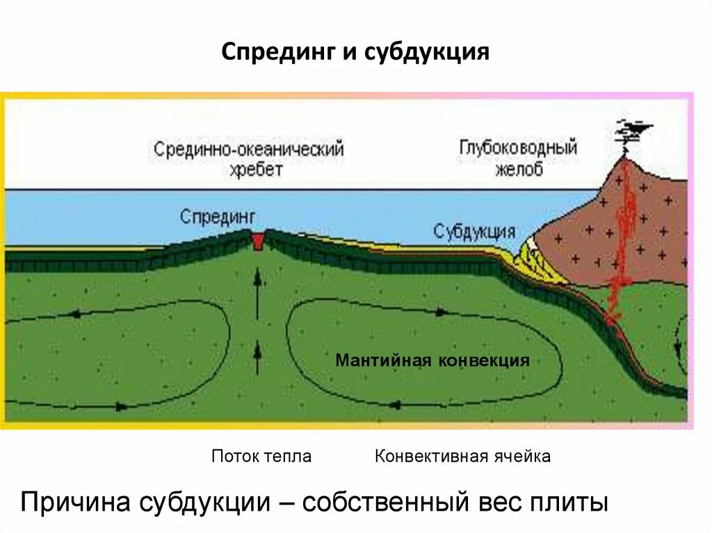 Срединно-океанический хребет. Движение тектонических плит схема. Расхождение океанической коры процессы. Срединно-океанический хребет. Расхождение океанической коры процессы.