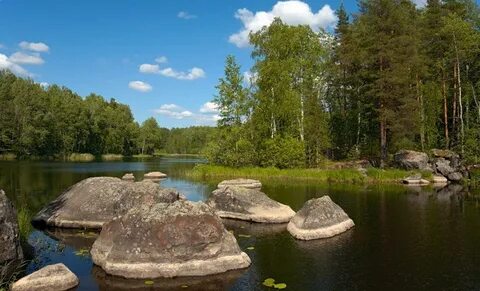 Ленинградская область где лучше