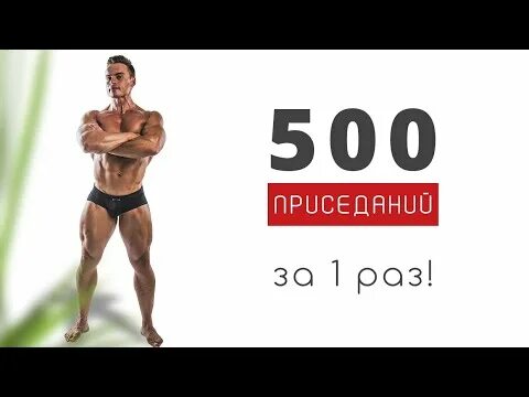 Программы sjbody. 500 приседаний. 500 приседаний за раз. sjbody рост. тренировка на 500.