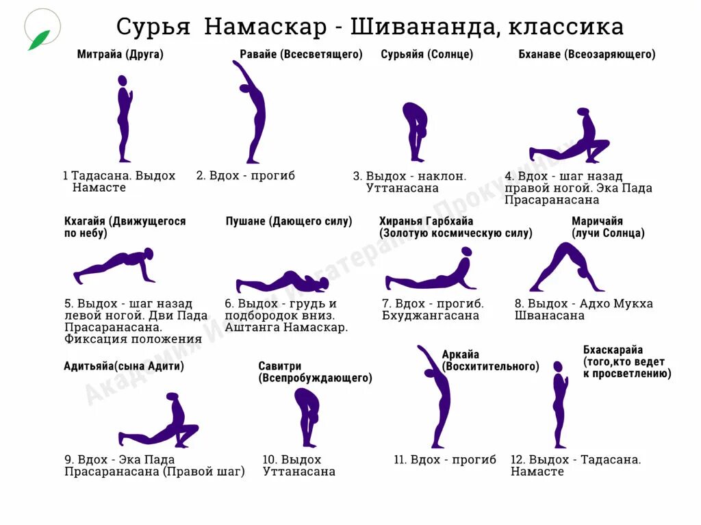 Приветствие солнцу сурья. Комплекс Сурья Намаскар Приветствие солнцу. Сурья-Намаскар комплекс упражнений йоги. Комплекс асан Сурья Намаскар. Сурья Намаскар Шивананда йога Приветствие солнцу.