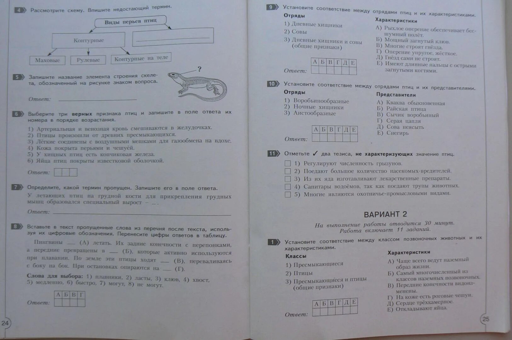 Пробная контрольная работа