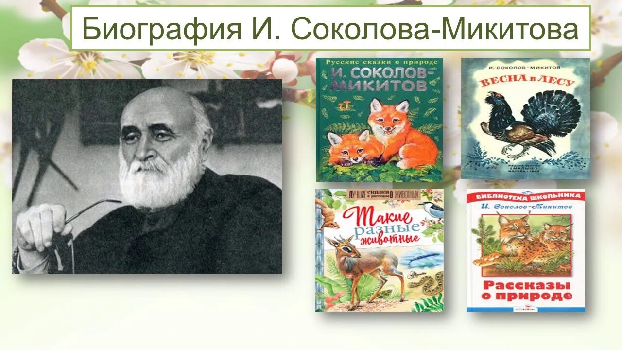 Сокол микитов писатель. Ивана Сергеевича Соколова-Микитова. Портрет Соколова Микитова.