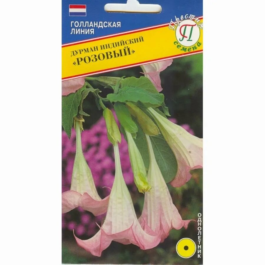 Датура семена. Дурман семена цветов. Дурман метел балерина вайт. Дурман махровый гигант. Датура махровая фиолетовая.
