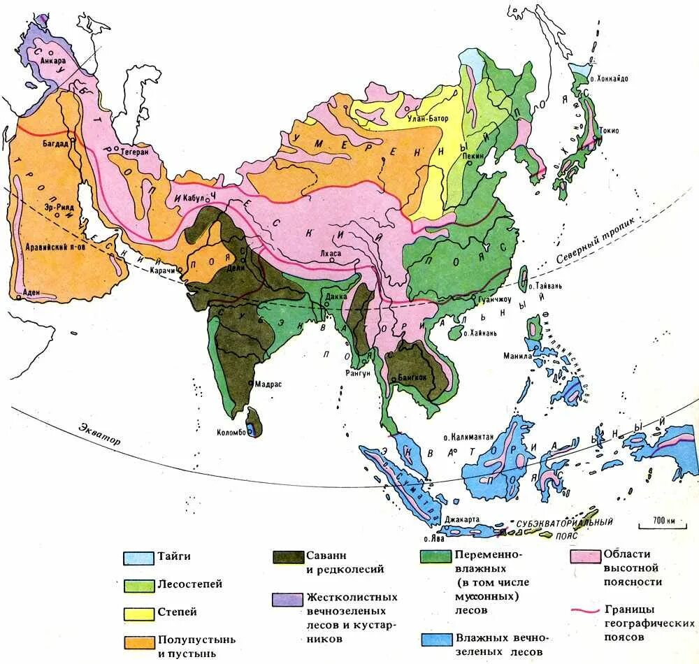 Карта природных зон Восточной Азии. Карта природных зон Азии. Физико-географическое районирование Азии карта. Карта природных зон зарубежной Азии. В каких природных зонах расположена евразия