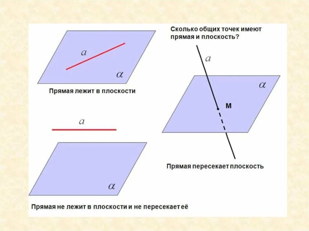 Сколько может быть общих точек у прямой и плоскости. Прямая на плоскости. Прямая и плоскость не имеют общих точек. Прямая лежит в плоскости. Назовите прямые лежащие в плоскости