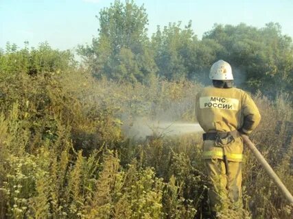 После полной готовности