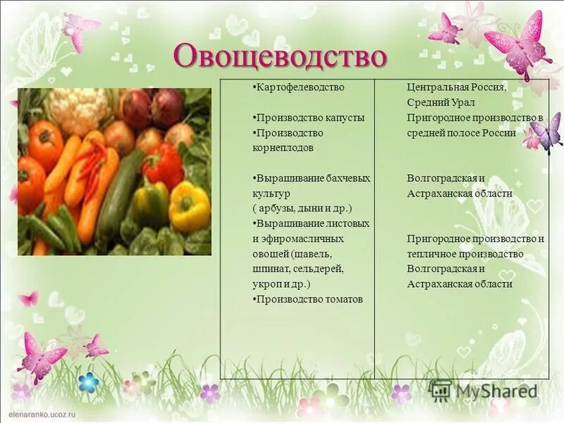 Федеральный проект развития овощеводства и картофелеводства 100 лучших товаров России ФЕДЕРАЛЬНЫЙ НАУЧНЫЙ ЦЕНТР ОВОЩЕВОДСТВА