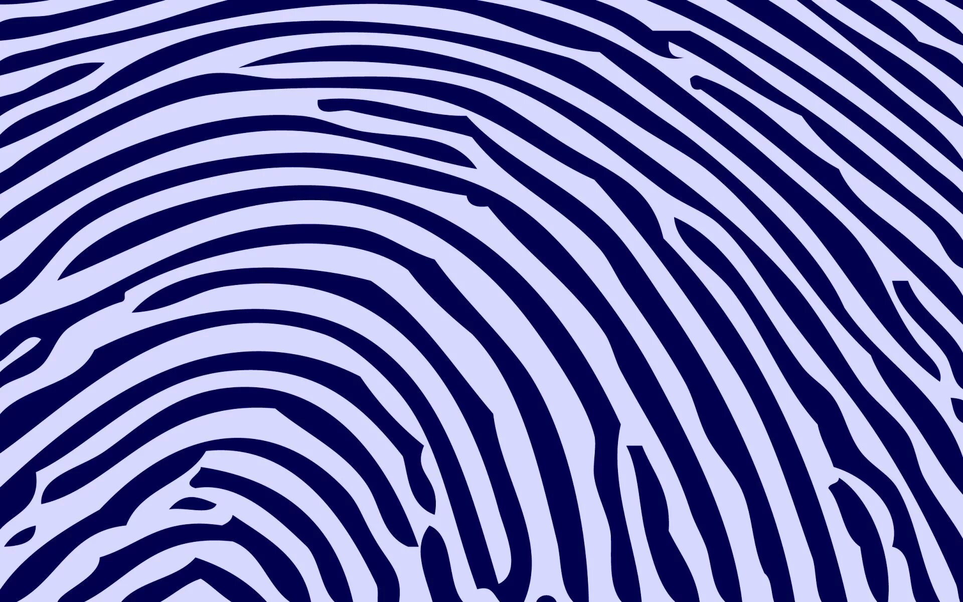 Zebra line