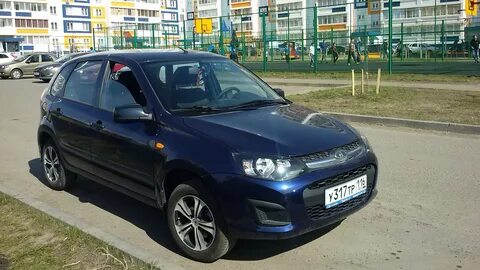 Калина цвет черный