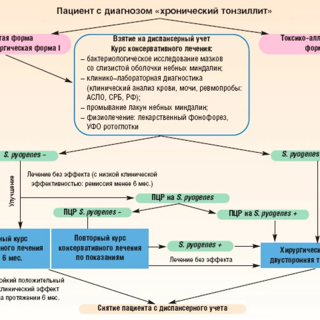 Тонзиллит лечение домашними средствами. Патогенез хронического тонзиллита схема. Схема лечения хронического тонзиллита. Лечение хронического тонзиллита у взрослых схема. Алгоритм лечения при ангине.