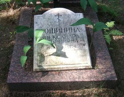 Александре ильиничне