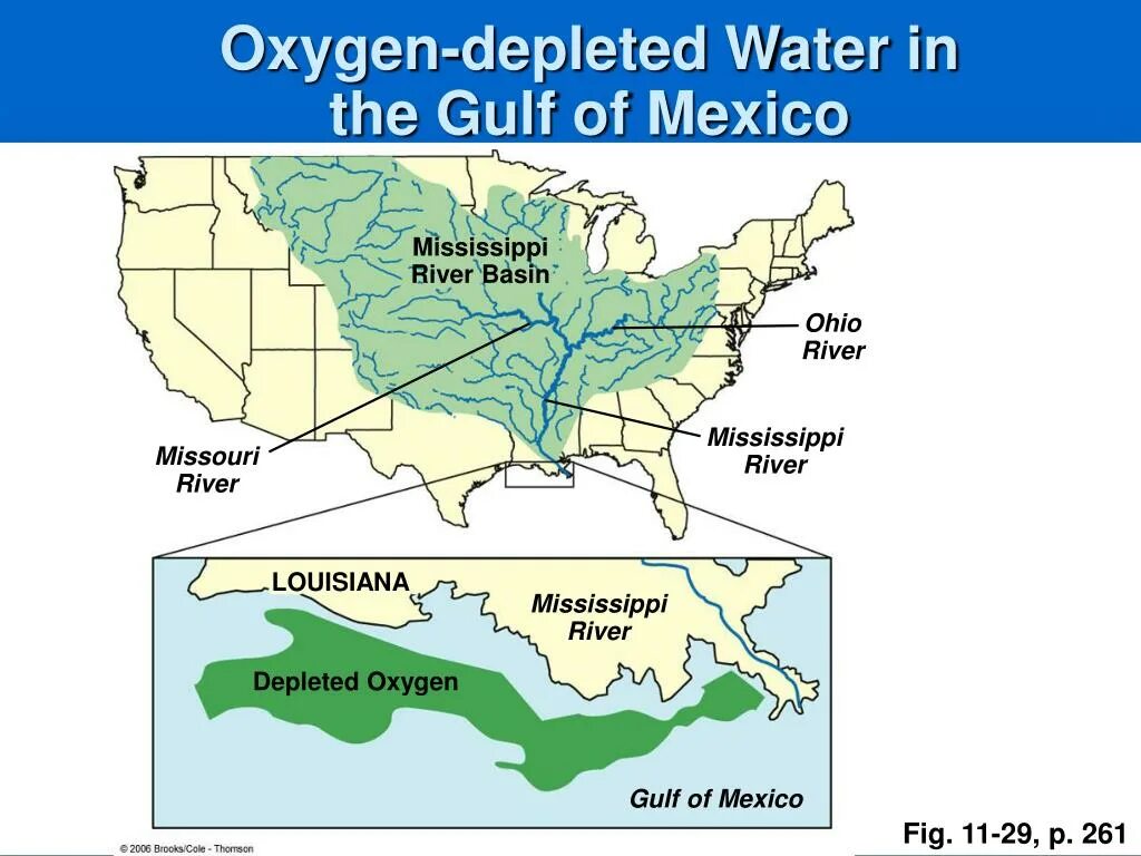Река огайо бассейн какого океана. Река Миссисипи на карте. Мексиканский залив Миссисипи интересные факты.
