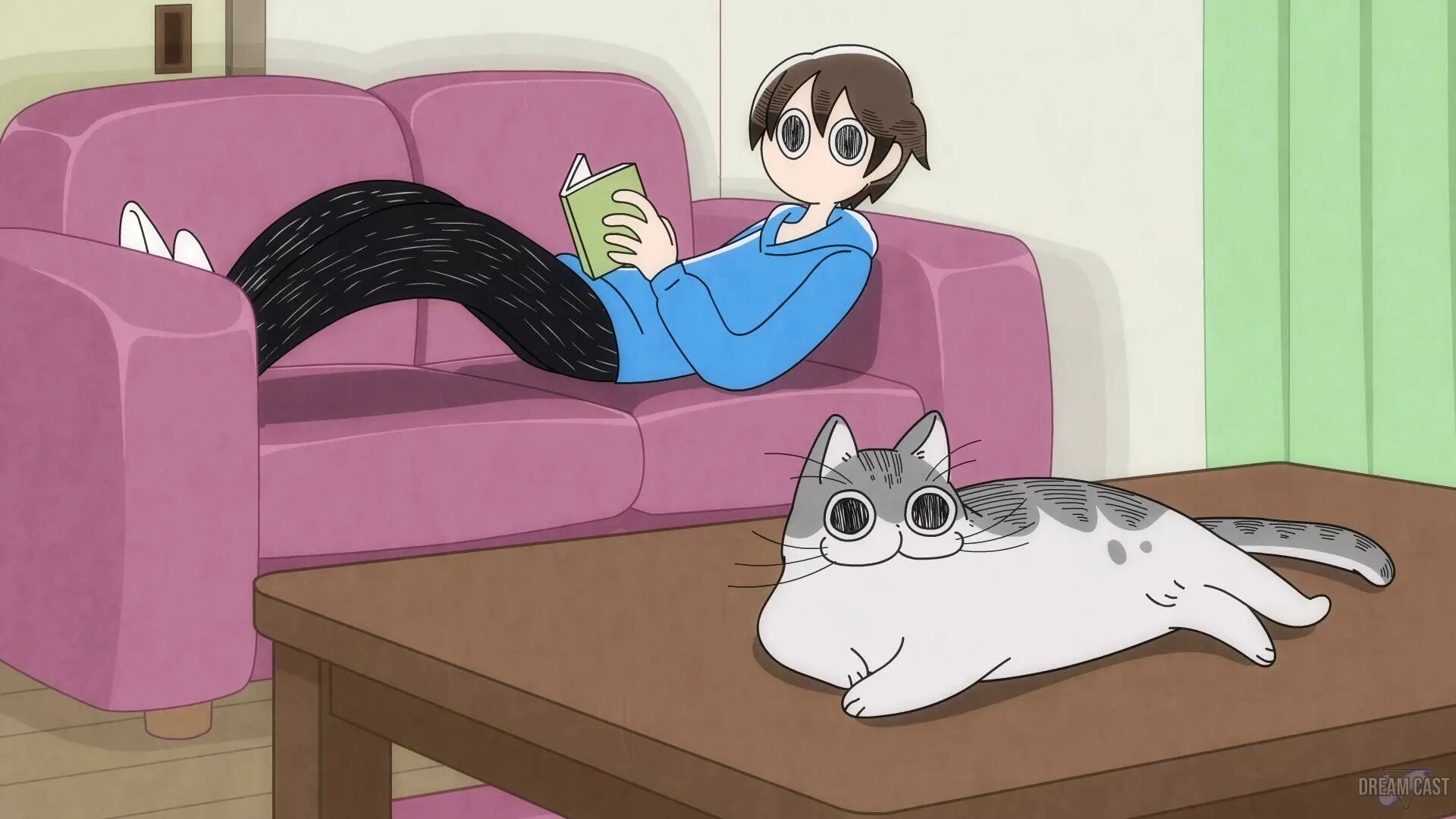 Getting a cat. Getting a cat