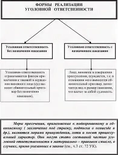 Формы реализации уголовной