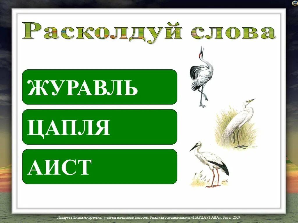 Найди слово в слове журавль. Цапля Аист журавль. Аист цапля и журавль отличия. Журавль Аист цапля различия. Журавль и цапля разница.