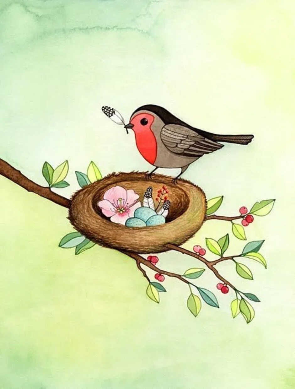 Птичка рисунок. Птичка на ветке. Гнездо для птиц.. Птички на веточках для детей.